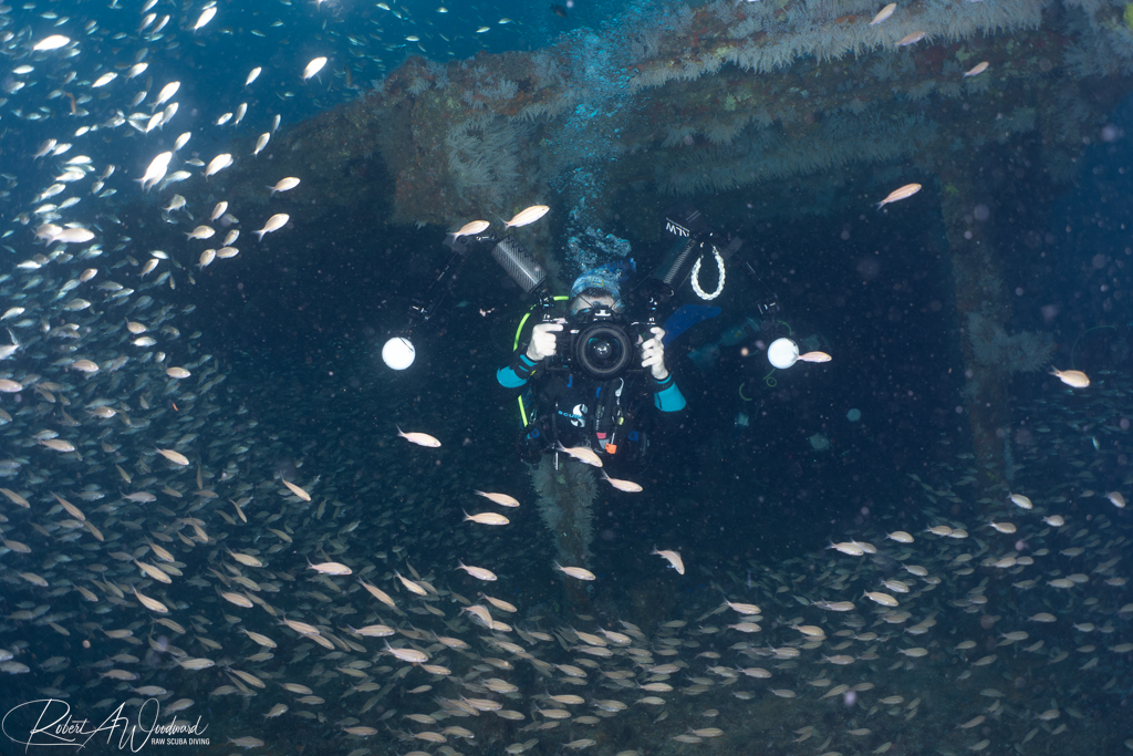 Diving on Wrecks with Sharks off Morehead City, NC